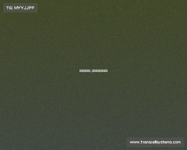 篮球赛赛事指南_篮球赛赛事指南怎么写