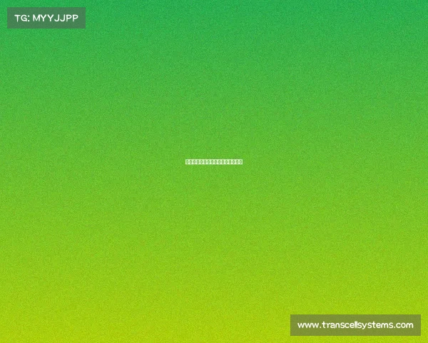 赛事投注网址—赛事投注网址是什么